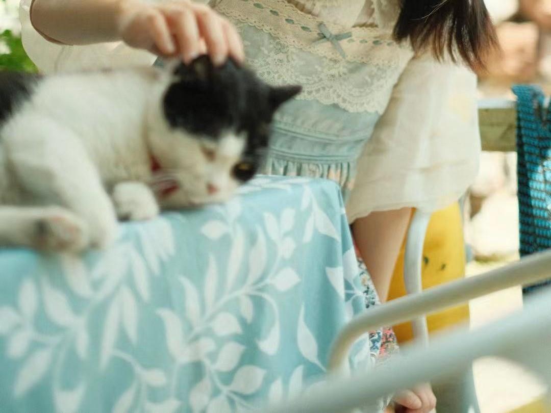 Lolita Straw Hat Mori Style Sweet Bowknot French Girl Flower Sun Hat Lolita Flat Top Hat Straw Hat