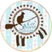 Cat's Broom logo