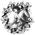 Narcissus logo
