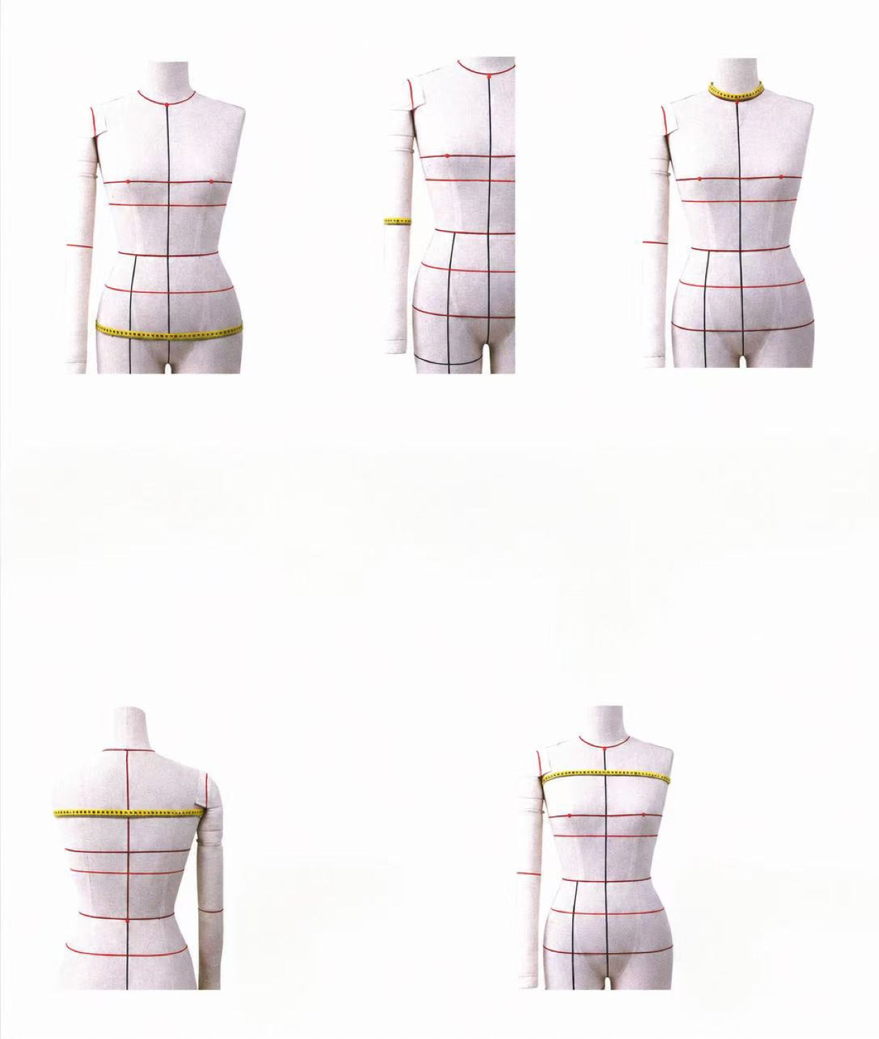 Dress forms showing the key body measurement positions used for garment sizing.