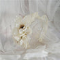 White Flower Cream Yellow Edge Headband