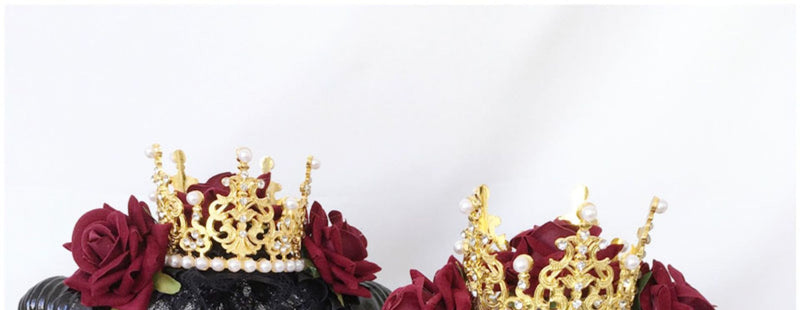 RE Accessary Crown Horn Veil Headpiece