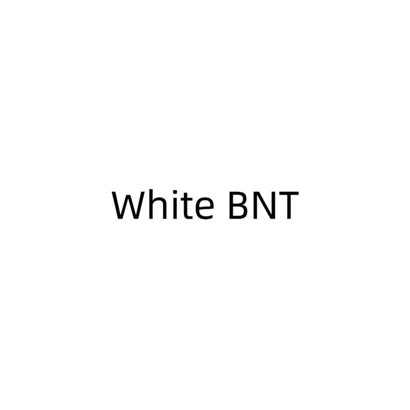 Love Feathered Bond - Wedding Sweet Lolita JSK Dress, Hime Sleeve Blouse White BNT Only (one size / M) S