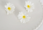 drei Blüten-Haarnadeln
