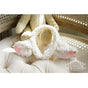 Oreille de mouton rose blanc