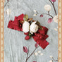 Coiffe rouge