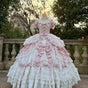 Pink Long Length + Skirt 撑 / S
