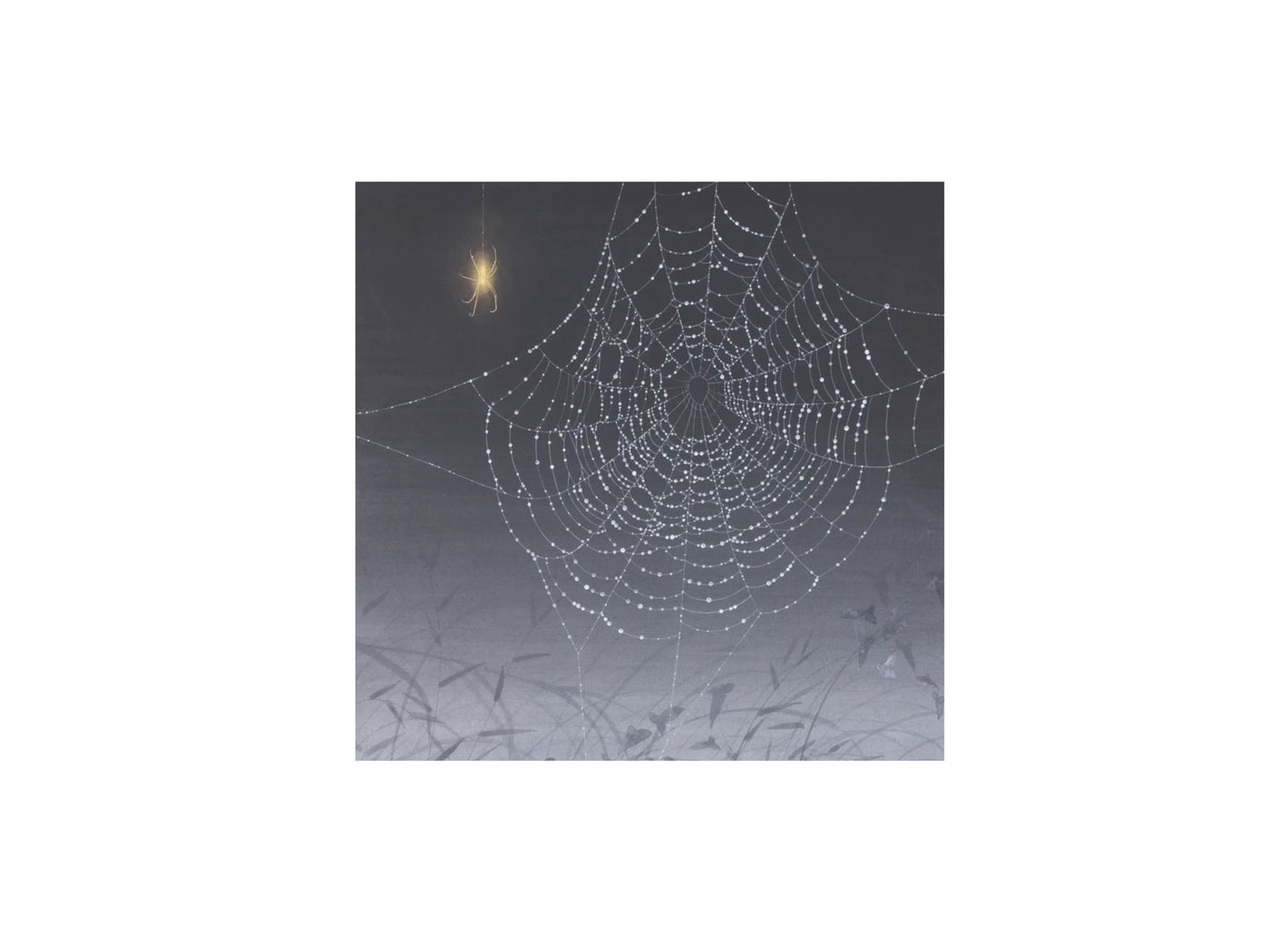 Nololita - Third Anniversary Spiderweb - Spiderweb Lolita Separates with Two-Tier Mesh Skirts