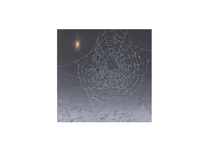 Nololita - Third Anniversary Spiderweb - Spiderweb Lolita Separates with Two-Tier Mesh Skirts