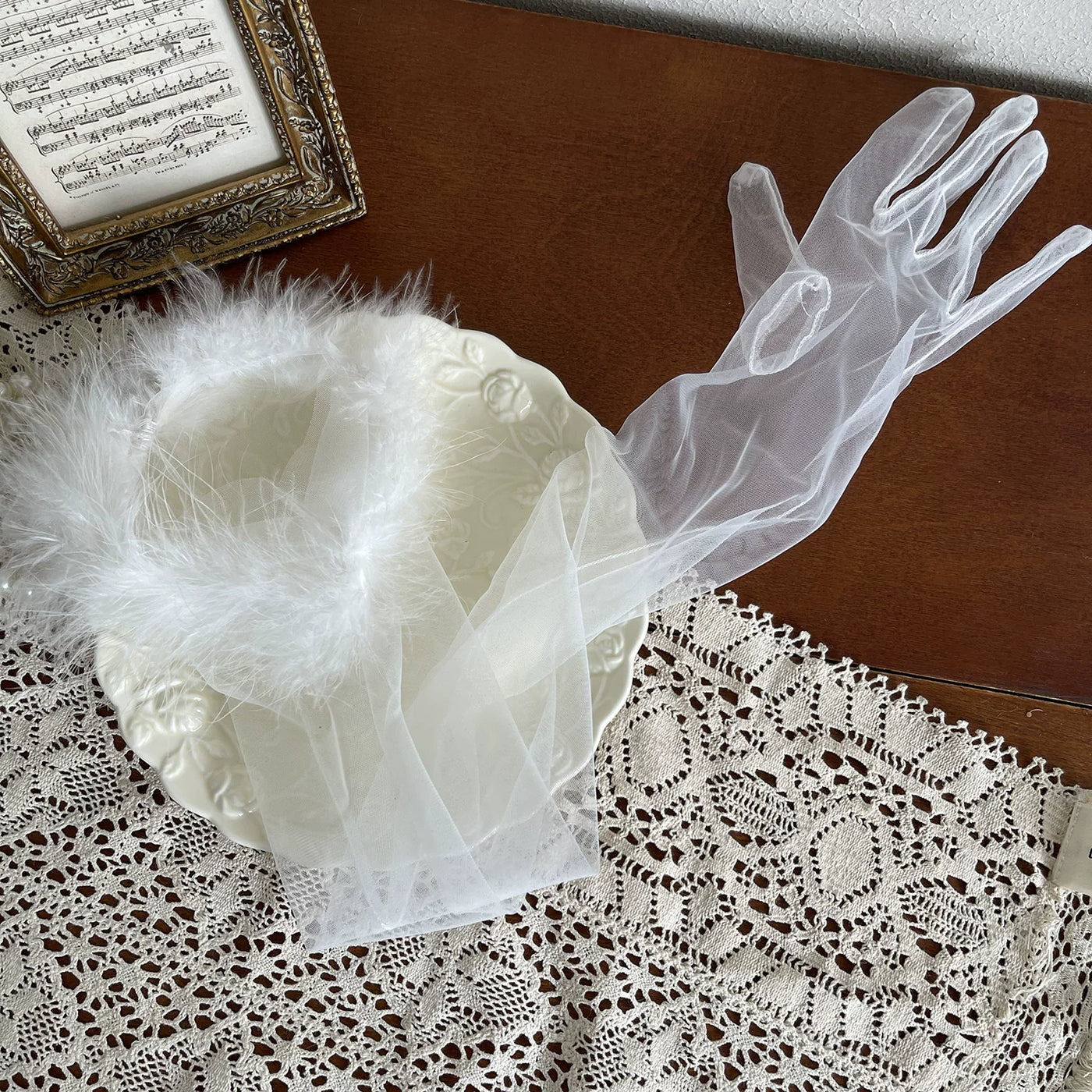 Sock Noble - Feather Veil - Sheer Five-Finger Long Gloves