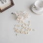 Apricot edge clip (one size, order M) pre-sale, shipping starts from October 23 / S
