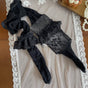 Black pantyhose / One Size