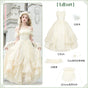 Long JSK 5-piece set (long JSK + hair clip + pearl necklace + shawl + 2-way headband veil) In stock / S