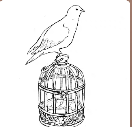 You Yi Zhi Xiao Niao logo