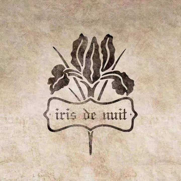 iris de nuit logo