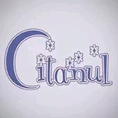 Citanul logo