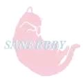 SANERBBY logo