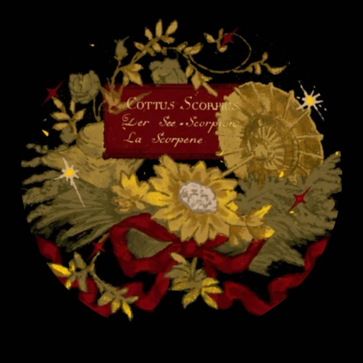 lo ScorpiuStudio logo