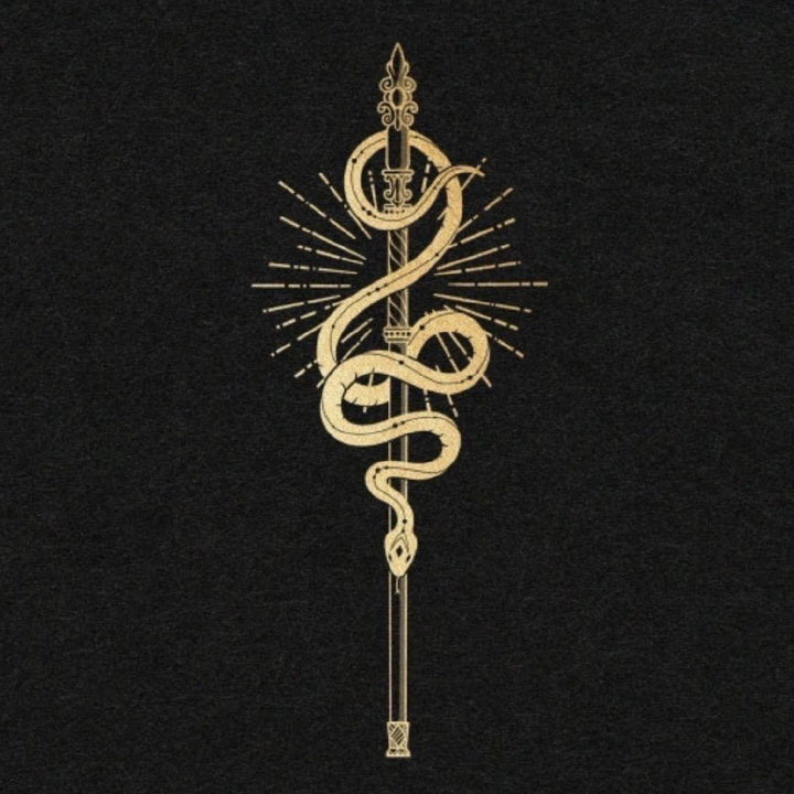 Dark wish logo