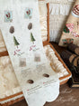 Pine Cones and Acorns