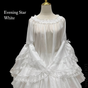 White Sheer Blouse / One Size